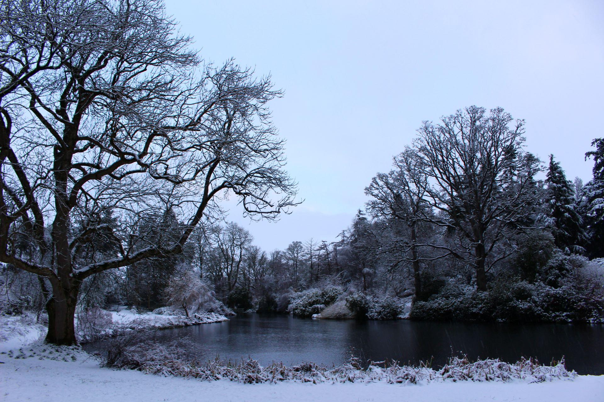 WInter Lake at Larchfield Estate Co Down Northern Ireland