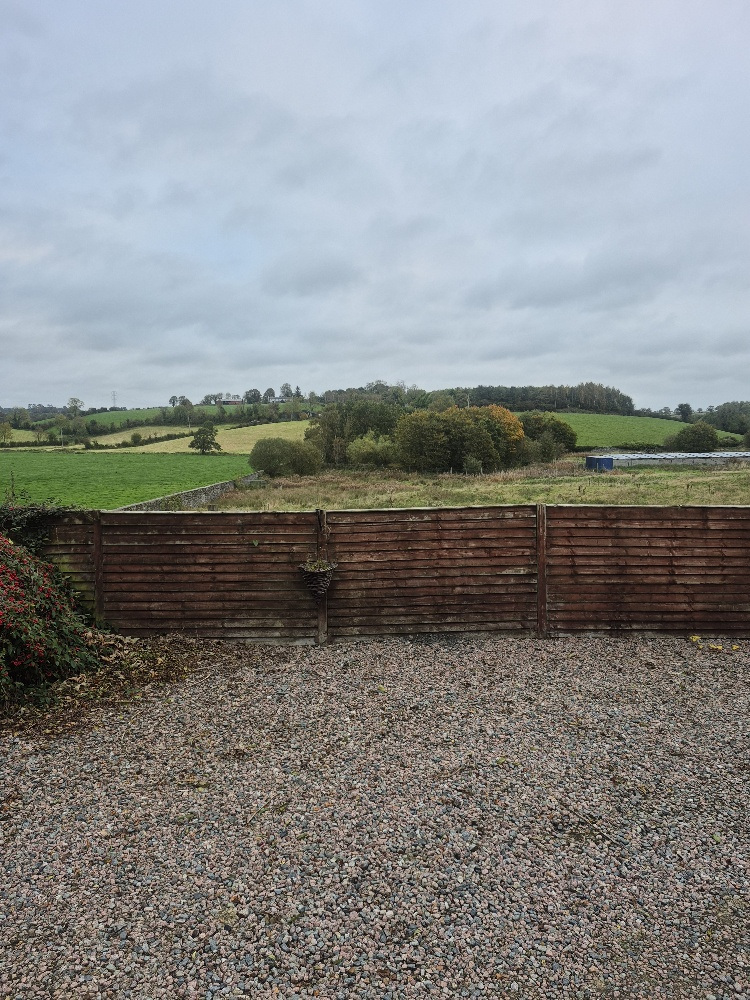 View over the Deer Park at Larchfield Estate